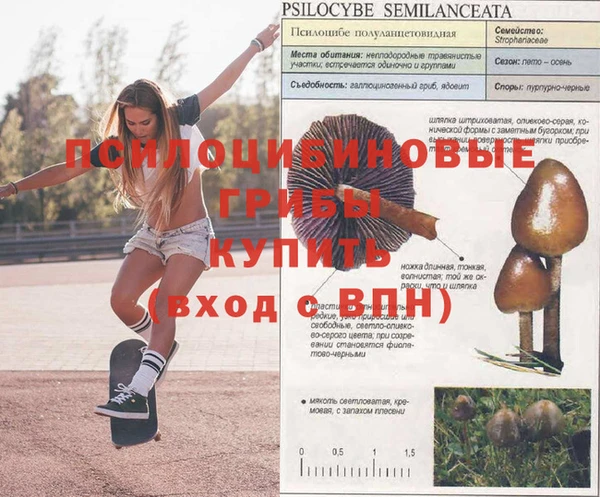 гашишное масло Алексеевка