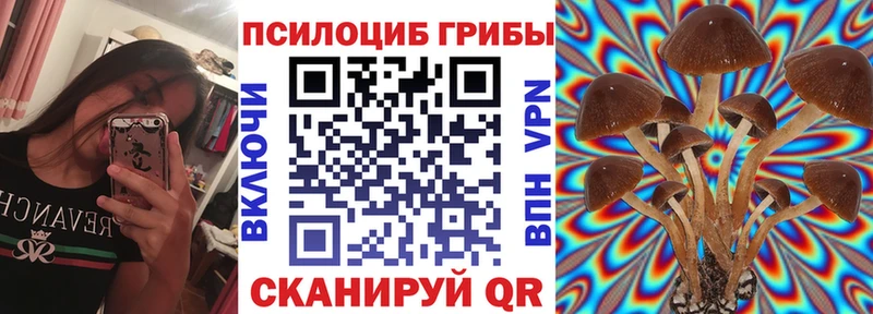 Псилоцибиновые грибы GOLDEN TEACHER  купить   Волгоград 